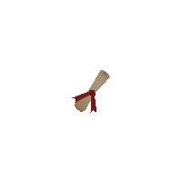 https://dekaron-rising.com/_RISING/ItemImages/1193482.png