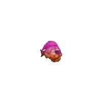 https://dekaron-rising.com/_RISING/ItemImages/1602673.png