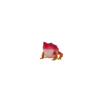 https://dekaron-rising.com/_RISING/ItemImages/1602674.png