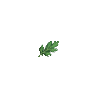 1753544.png