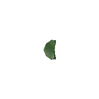 3855.png
